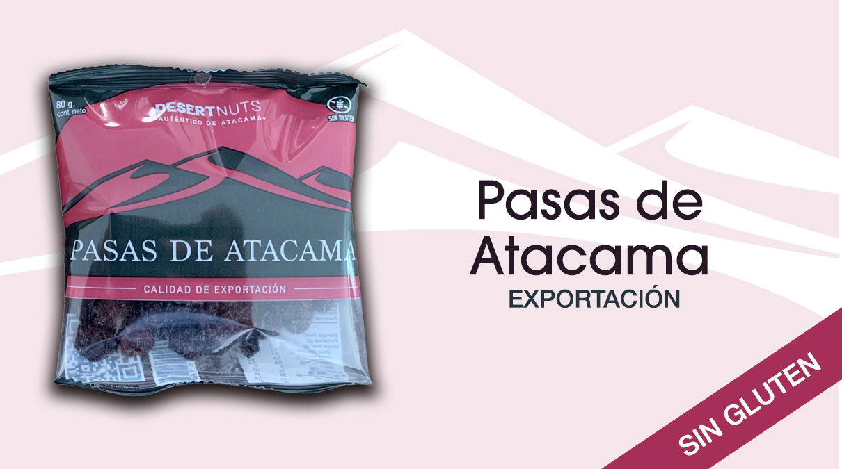 pasas de atacama2